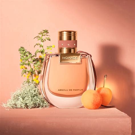 chloe perfume nomade price|cheapest chloe nomade perfume.